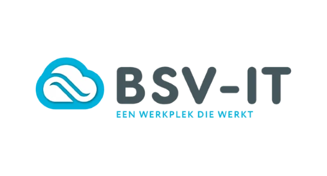 BSV-IT